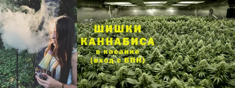 хочу наркоту  Олонец  Канабис SATIVA & INDICA 